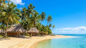 découvrez la richesse de la polynésie française à travers ses noix de coco savoureuses et ses traditions tahitiennes ancestrales, un voyage au cœur de la culture et de la nature.