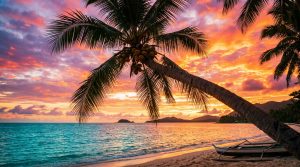 découvrez la symbolique riche et variée de la noix de coco dans les cultures tropicales à travers le monde, entre traditions, spiritualité et usages quotidiens.