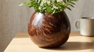 découvrez comment créer un cache-pot naturel et élégant avec un vase en noix de coco, alliant authenticité et décoration écologique pour sublimer vos plantes.